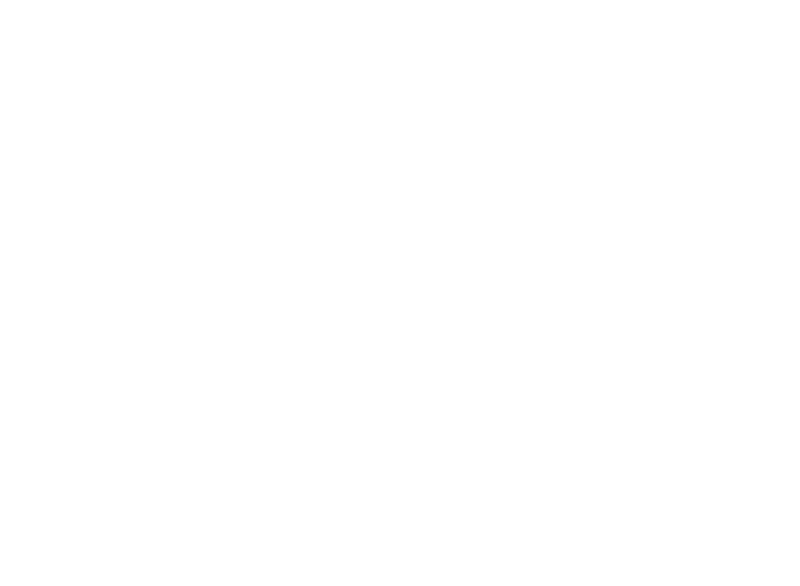 VI Logo
